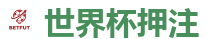 2026世界杯在线投注官网